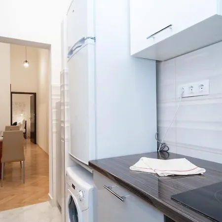 Ultra Large Stylish Apartament